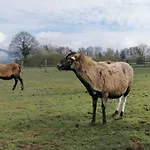 Au Gres Des Vosges فيلة Remoneix