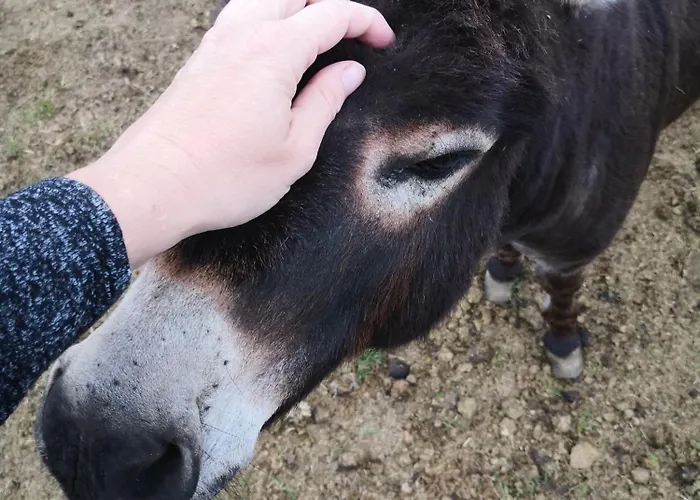 Vila Au Gres Des Vosges *