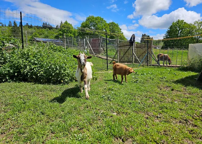Au Gres Des Vosges Vila *