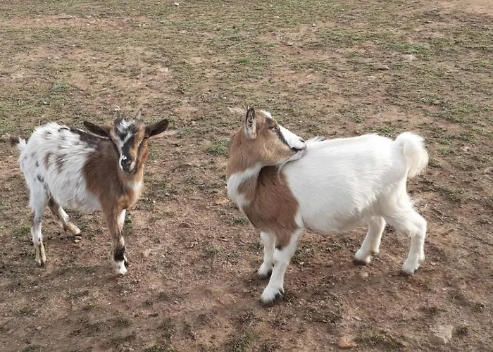 Au Gres Des Vosges Vila Remoneix