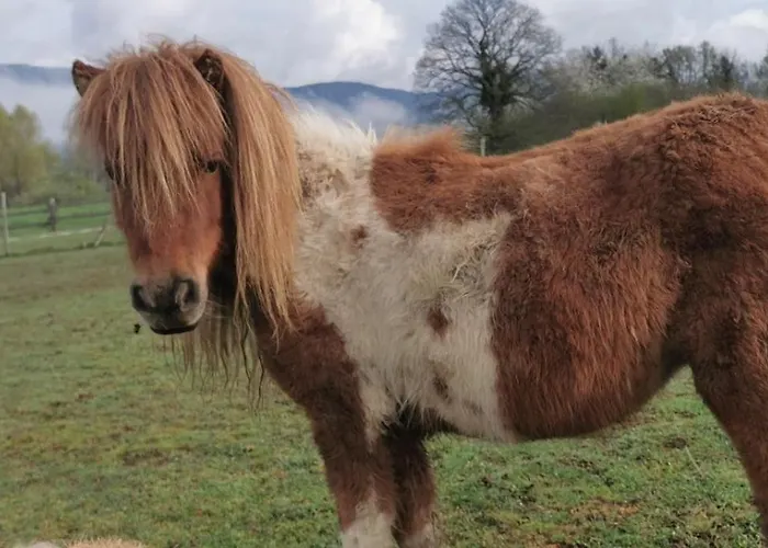 Au Gres Des Vosges Vila Remoneix