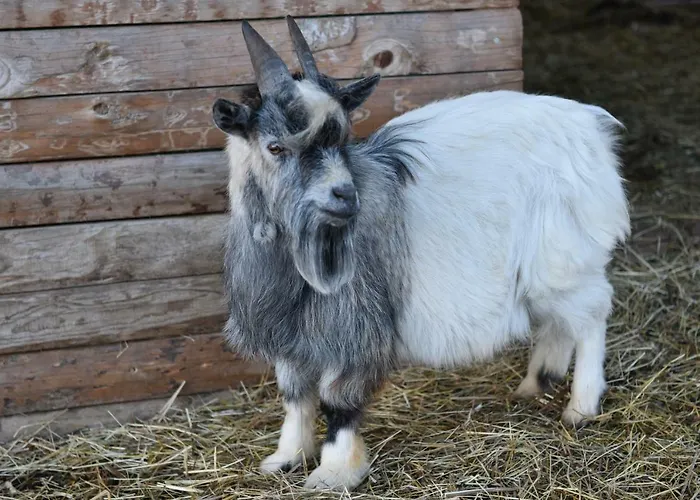 Vila Au Gres Des Vosges